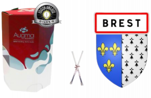 augma x brest